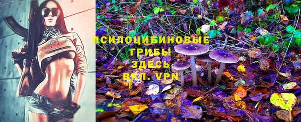 скорость Покачи