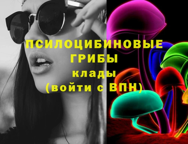 ECSTASY Пролетарск