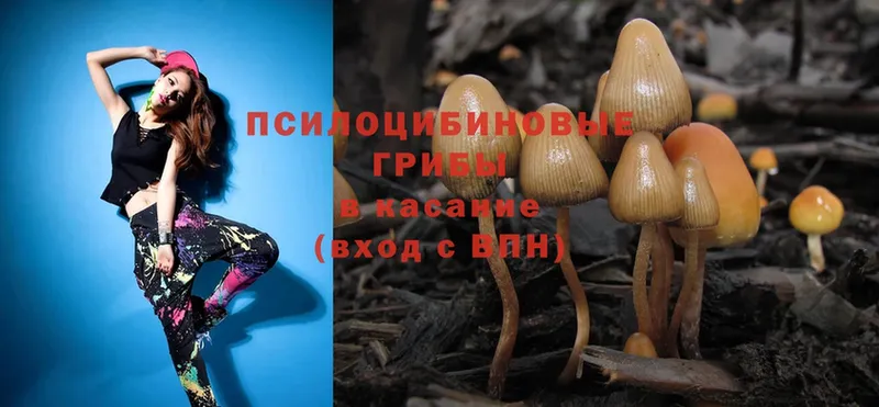 Галлюциногенные грибы MAGIC MUSHROOMS  Красный Сулин 