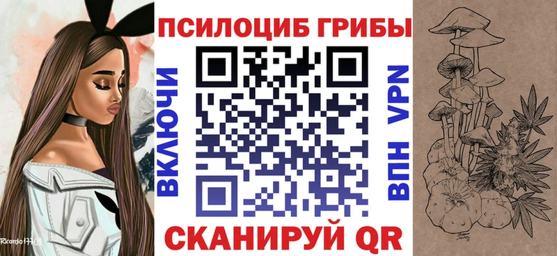 где можно купить Красный Сулин Псилоцибиновые грибы Psilocybine cubensis