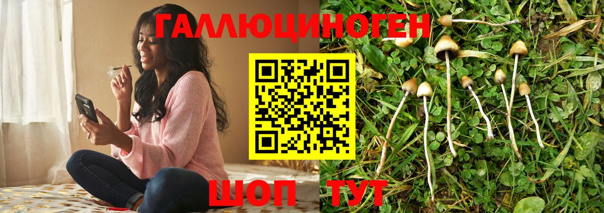 Красный Сулин  Псилоцибиновые грибы мицелий  Вход с VPN 