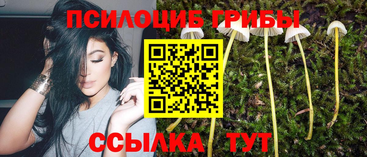 МЕФ Красный Сулин